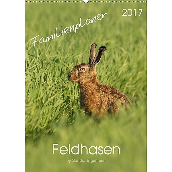 Feldhasen - Familienplaner (Wandkalender 2017 DIN A2 hoch), Sandra Eigenheer