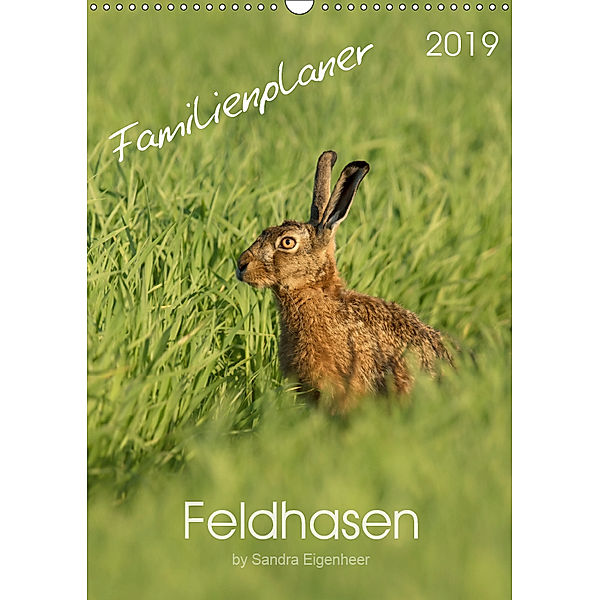 Feldhasen - Familienplaner (Wandkalender 2019 DIN A3 hoch), Sandra Eigenheer