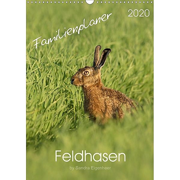 Feldhasen - Familienplaner (Wandkalender 2020 DIN A3 hoch), Sandra Eigenheer