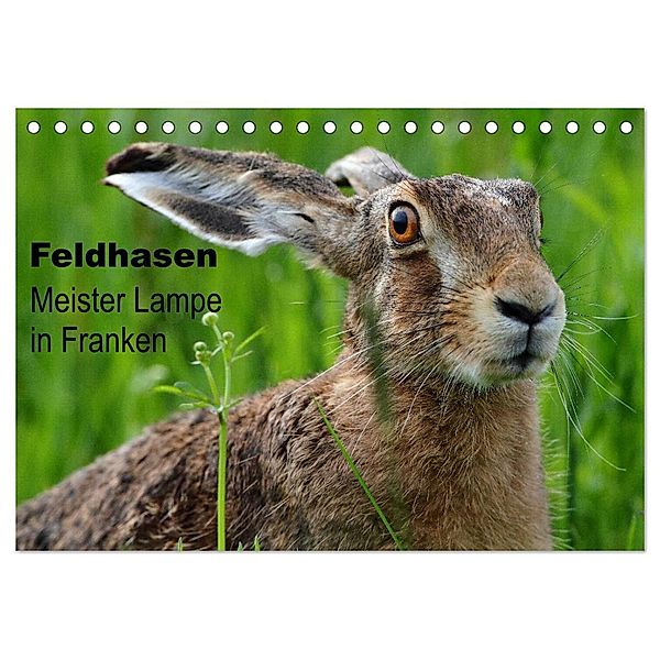 Feldhasen - Meister Lampe in Franken (Tischkalender 2024 DIN A5 quer), CALVENDO Monatskalender, Günter Bachmeier