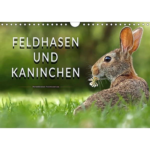 Feldhasen und Kaninchen (Wandkalender 2021 DIN A4 quer), Peter Roder