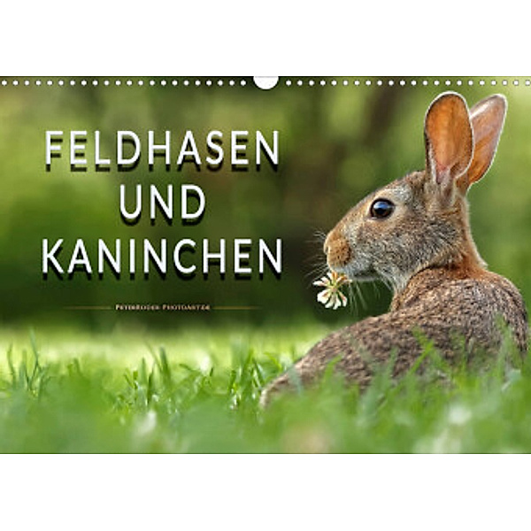 Feldhasen und Kaninchen (Wandkalender 2022 DIN A3 quer), Peter Roder