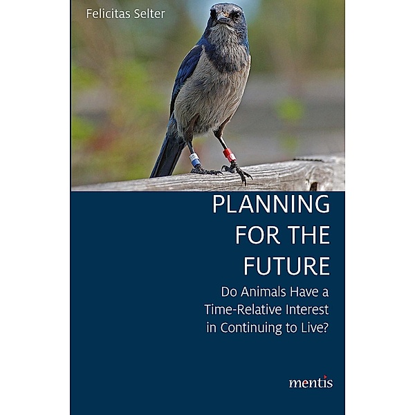 Felicitas Selter: Planning for the Future, Felicitas Selter