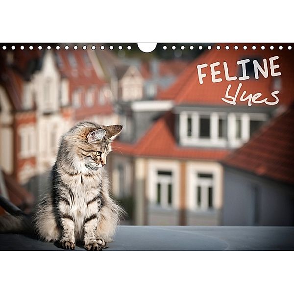 FELINE blues (Wall Calendar 2018 DIN A4 Landscape), Viktor Gross