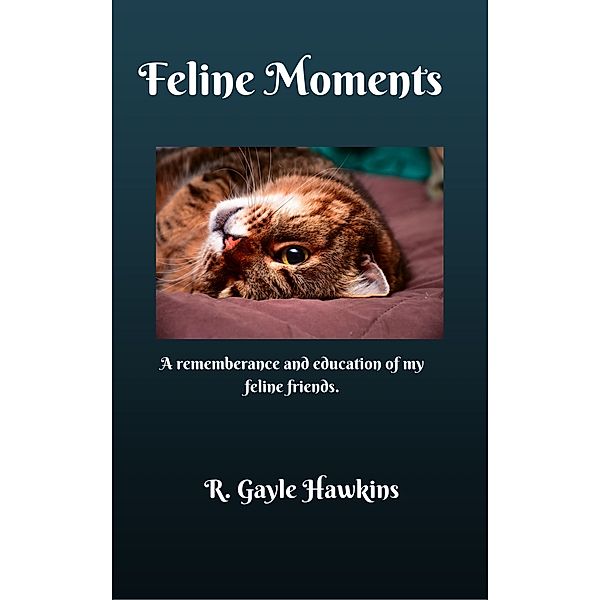 Feline Moments, R. Gayle Hawkins