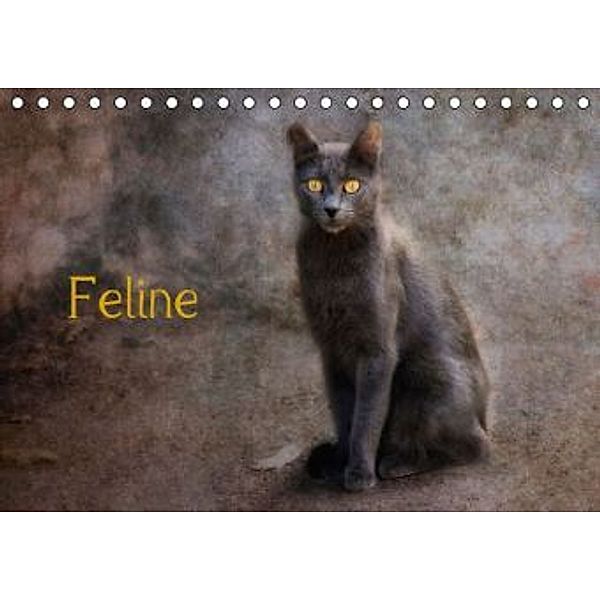 Feline (Tischkalender 2016 DIN A5 quer), Claudia Möckel / Lucy L!u