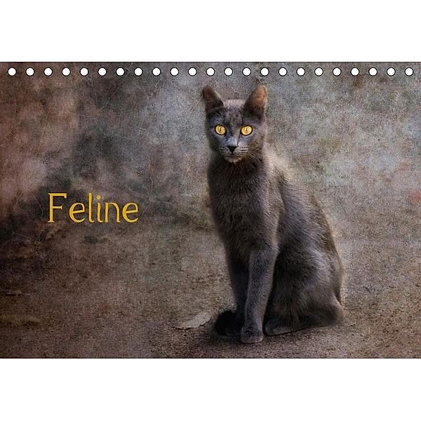 Feline (Tischkalender 2017 DIN A5 quer), Claudia Möckel / Lucy L!u