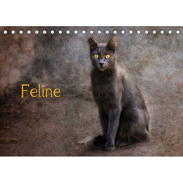 Feline (Tischkalender 2022 DIN A5 quer), Claudia Möckel / Lucy L!u