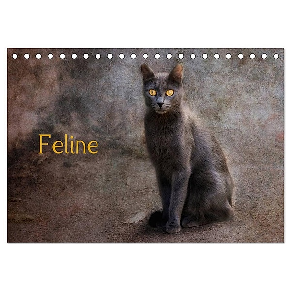 Feline (Tischkalender 2024 DIN A5 quer), CALVENDO Monatskalender, Claudia Möckel / Lucy L!u