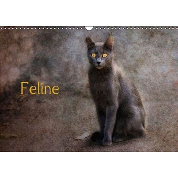 Feline (Wandkalender 2014 DIN A3 quer), Claudia Möckel