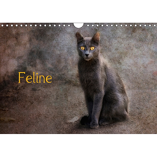 Feline (Wandkalender 2019 DIN A4 quer), Claudia Möckel / Lucy L!u