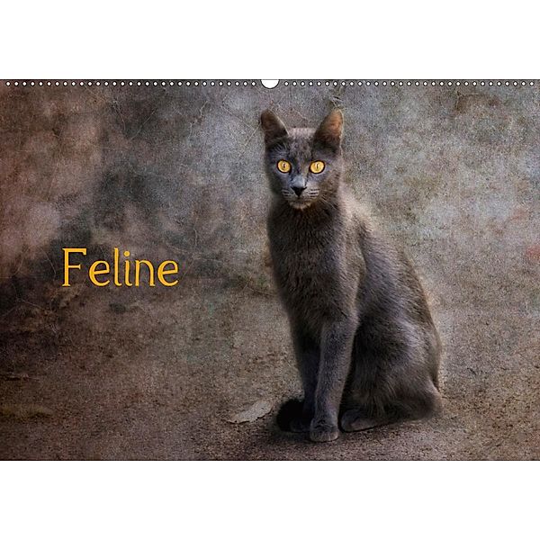 Feline (Wandkalender 2020 DIN A2 quer), Claudia Möckel / Lucy L!u