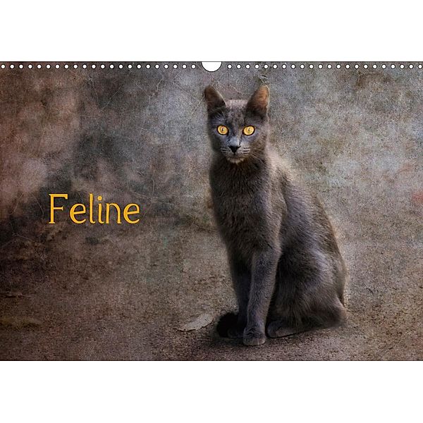 Feline (Wandkalender 2021 DIN A3 quer), Claudia Möckel / Lucy L!u