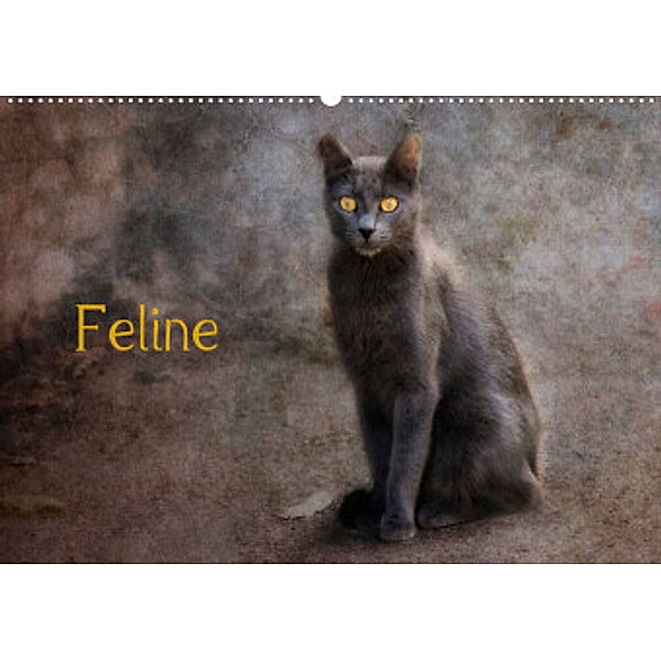 Feline (Wandkalender 2022 DIN A2 quer), Claudia Möckel / Lucy L!u