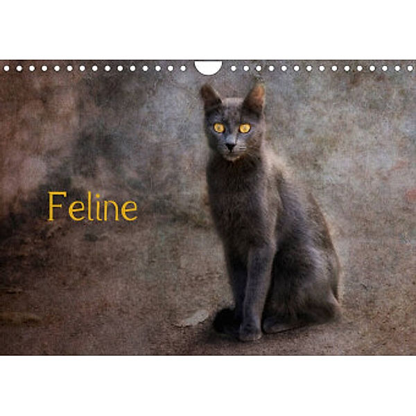 Feline (Wandkalender 2022 DIN A4 quer), Claudia Möckel / Lucy L!u
