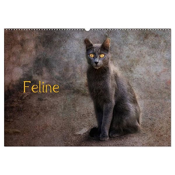 Feline (Wandkalender 2024 DIN A2 quer), CALVENDO Monatskalender, Claudia Möckel / Lucy L!u