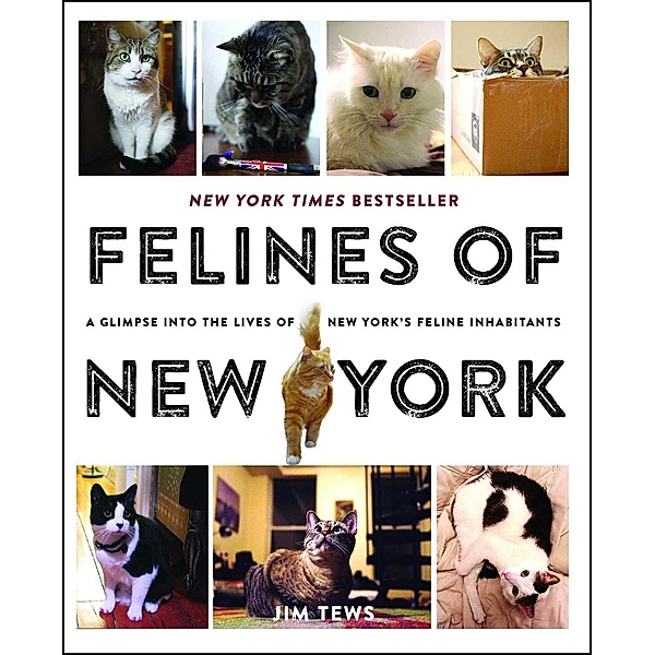 Felines of New York, Jim Tews