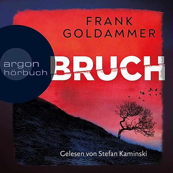 Felix Bruch - 1 - Bruch - Ein dunkler Ort, Frank Goldammer