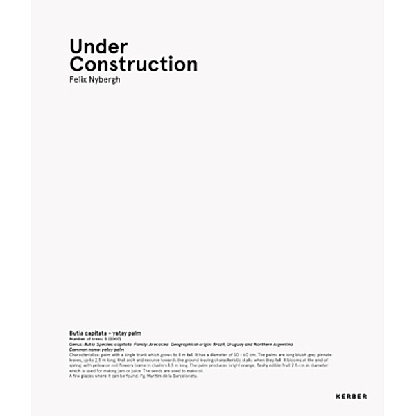 Felix Nybergh - Under Construction