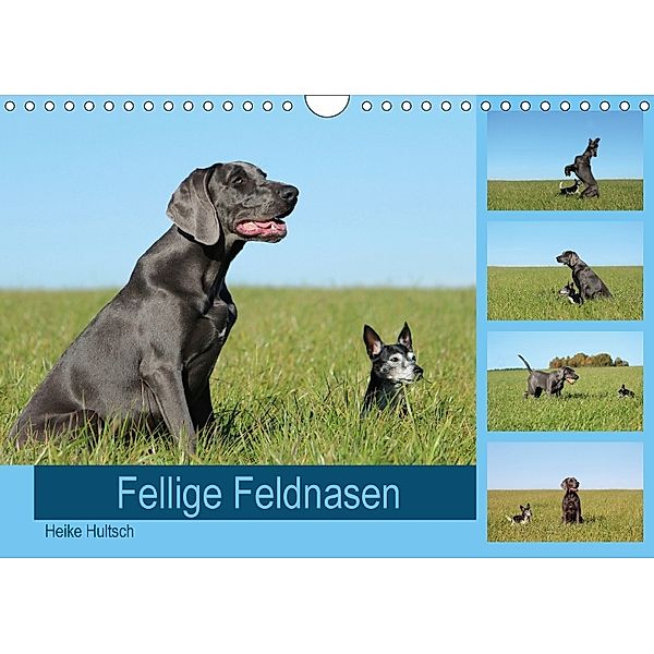 Fellige Feldnasen (Wandkalender 2018 DIN A4 quer), Heike Hultsch