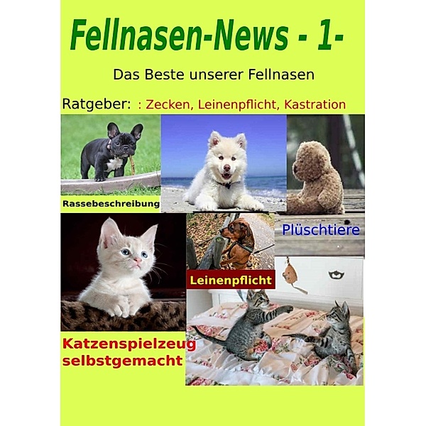 Fellnasen-News -1-, Jörg Hildebrandt