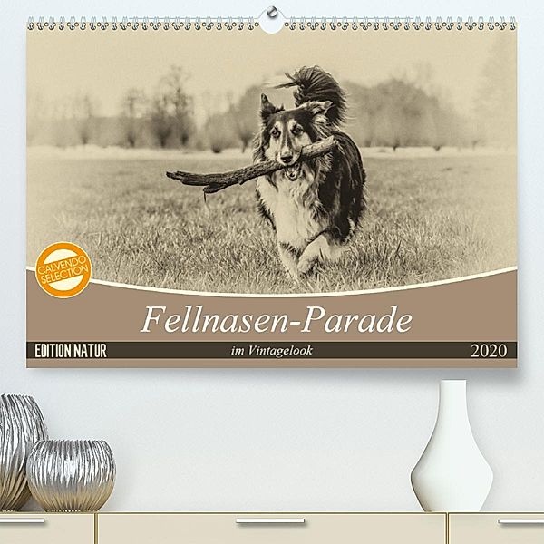 Fellnasen-Parade im Vintagelook (Premium-Kalender 2020 DIN A2 quer), Sonja Teßen