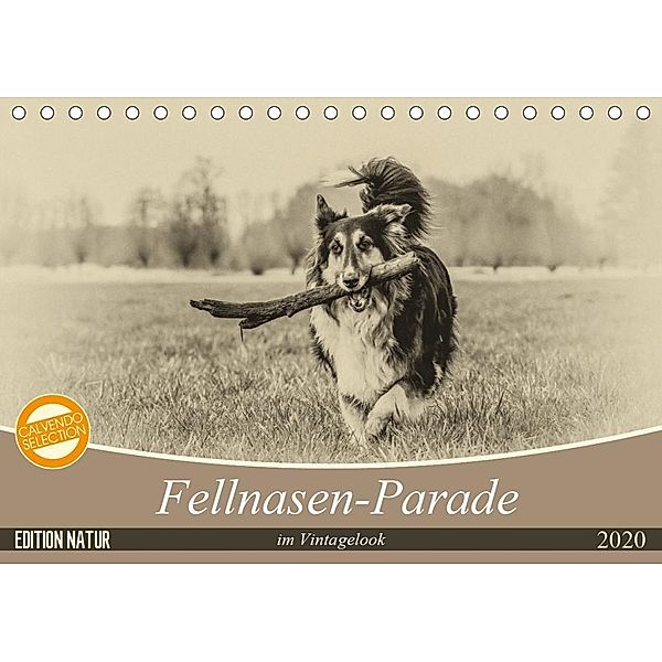 Fellnasen-Parade im Vintagelook (Tischkalender 2020 DIN A5 quer), Sonja Teßen