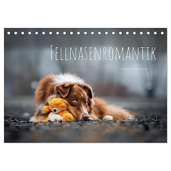 Fellnasenromantik (Tischkalender 2024 DIN A5 quer), CALVENDO Monatskalender, Bettina Dittmann