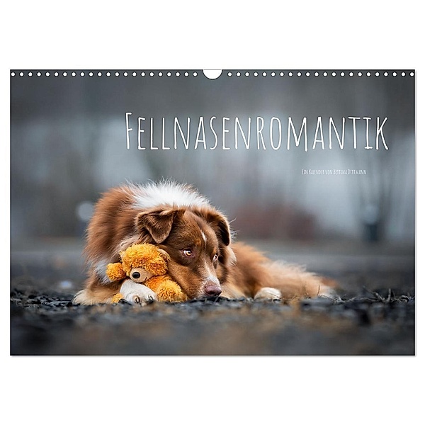 Fellnasenromantik (Wandkalender 2024 DIN A3 quer), CALVENDO Monatskalender, Bettina Dittmann