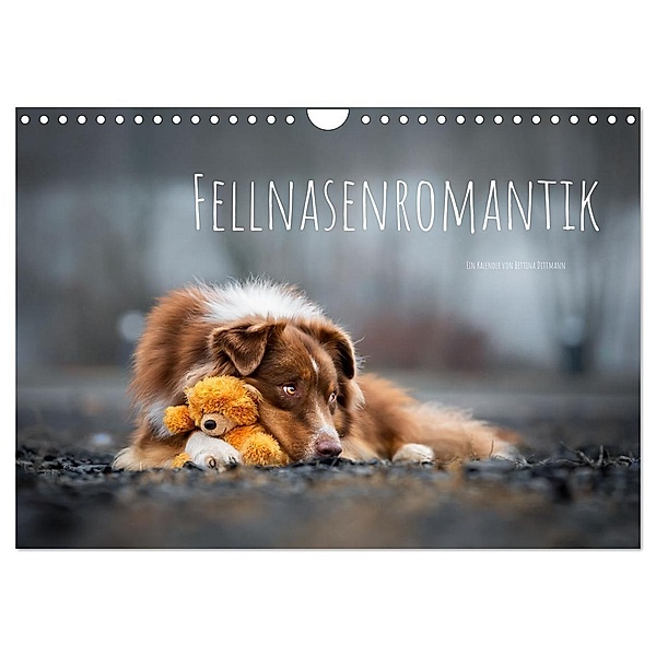 Fellnasenromantik (Wandkalender 2024 DIN A4 quer), CALVENDO Monatskalender, Bettina Dittmann