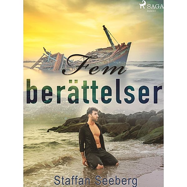 Fem berättelser, Staffan Seeberg