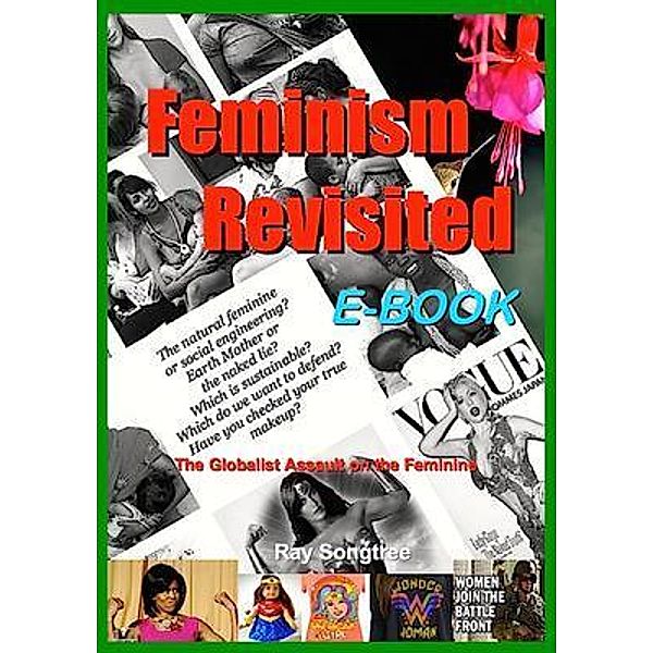 Feminism Revisited  (Vol. 1, Lipstick and War Crimes Series) / Lipstick and War Crimes Bd.1, Ray Songtree