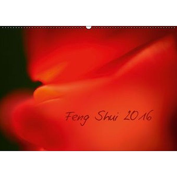Feng Shui 2016 / Geburtstagskalender (Wandkalender 2016 DIN A2 quer), Michael Jordan