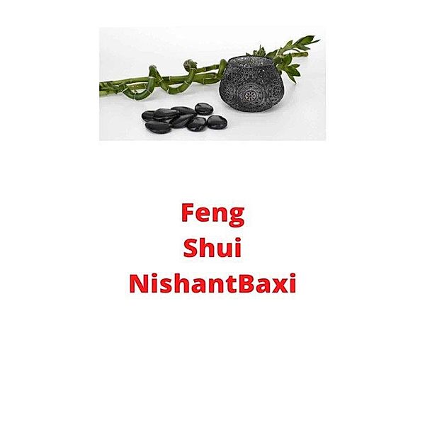 Feng Shui, Nishant Baxi