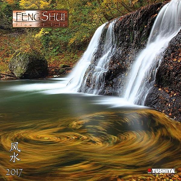 Feng Shui - Flow of Life 2017
