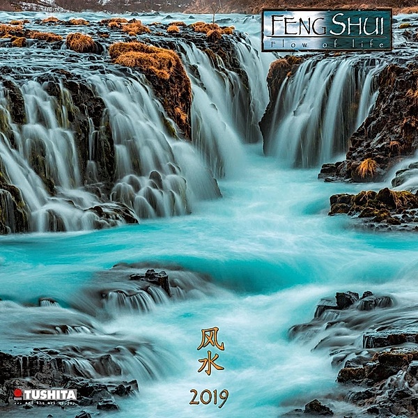 Feng Shui Flow of Life 2019