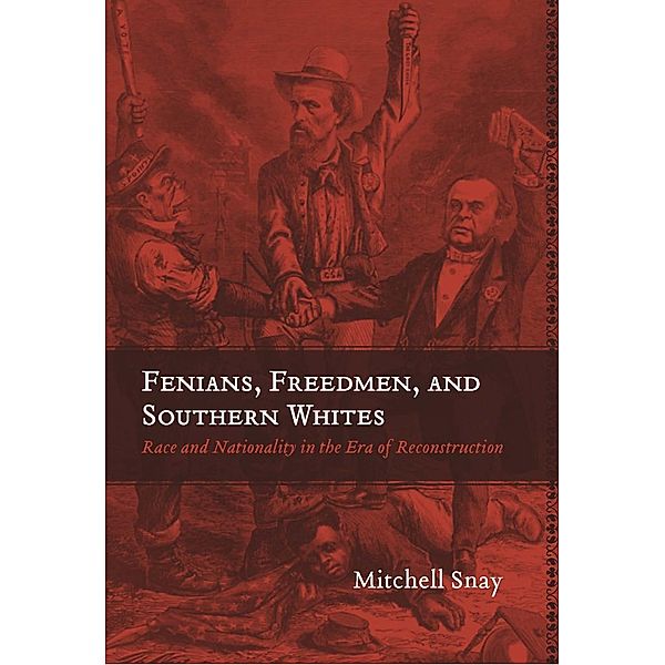 Fenians, Freedmen, and Southern Whites / Conflicting Worlds: New Dimensions of the American Civil War, Mitchell Snay