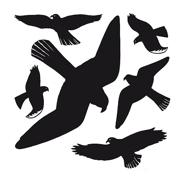 Fensterbild Warnvögel, schwarz,30 x 30 cm