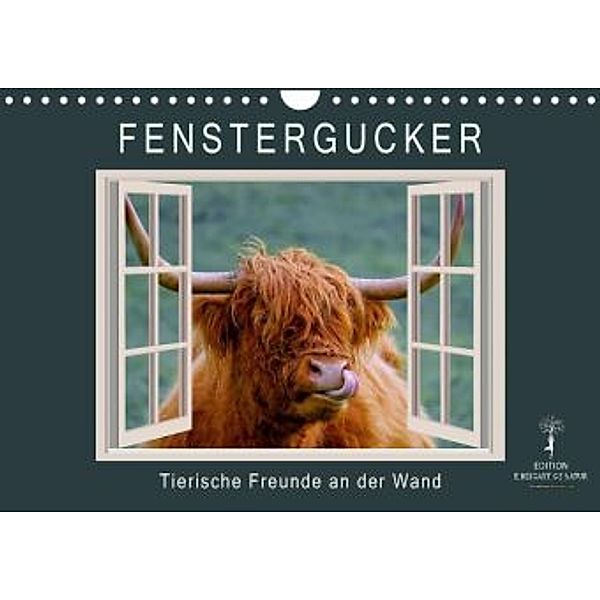 Fenstergucker - tierische Freunde an der Wand (Wandkalender 2021 DIN A4 quer), Peter Roder