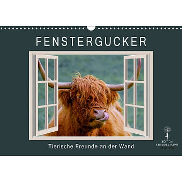 Fenstergucker - tierische Freunde an der Wand (Wandkalender 2022 DIN A3 quer), Peter Roder