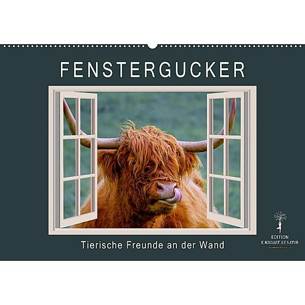 Fenstergucker - tierische Freunde an der Wand (Wandkalender 2023 DIN A2 quer), Peter Roder