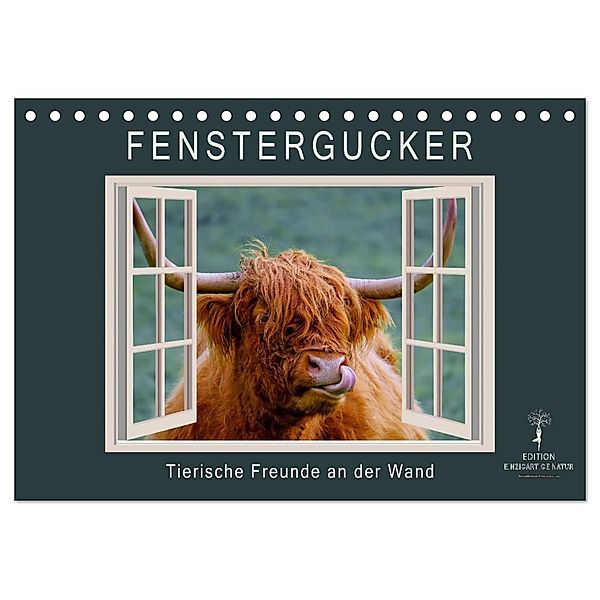 Fenstergucker - tierische Freunde an der Wand (Tischkalender 2024 DIN A5 quer), CALVENDO Monatskalender, Peter Roder