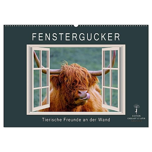 Fenstergucker - tierische Freunde an der Wand (Wandkalender 2025 DIN A2 quer), CALVENDO Monatskalender, Calvendo, Peter Roder