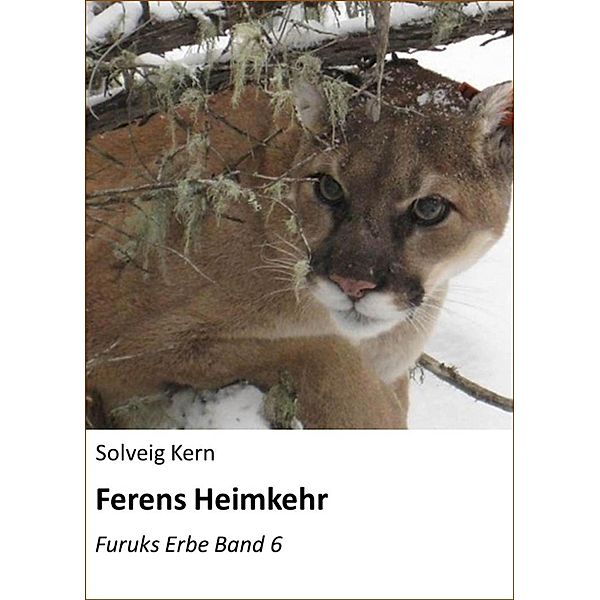 Ferens Heimkehr / Furuks Erbe Bd.6, Solveig Kern