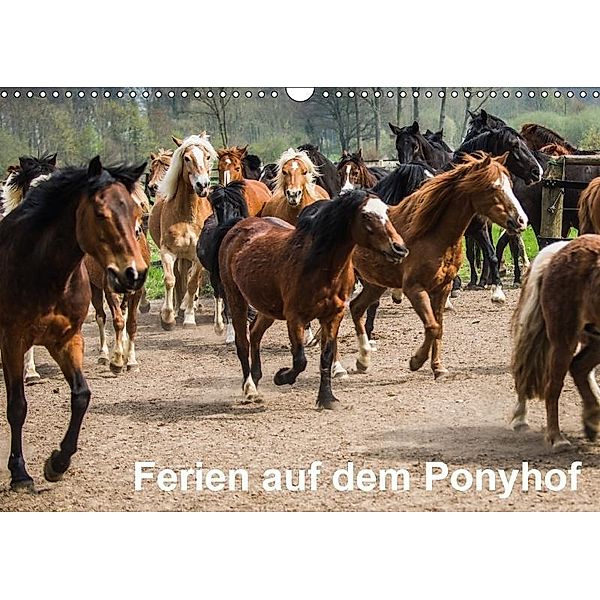 Ferien auf dem Ponyhof (Wandkalender 2017 DIN A3 quer), Britta Knappmann