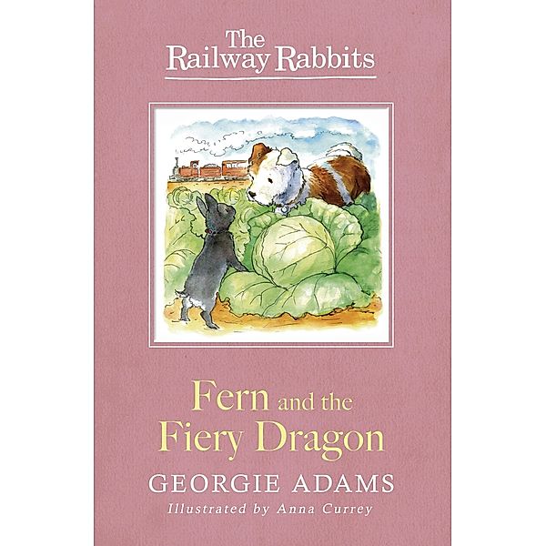 Fern and the Fiery Dragon / Railway Rabbits Bd.7, Georgie Adams