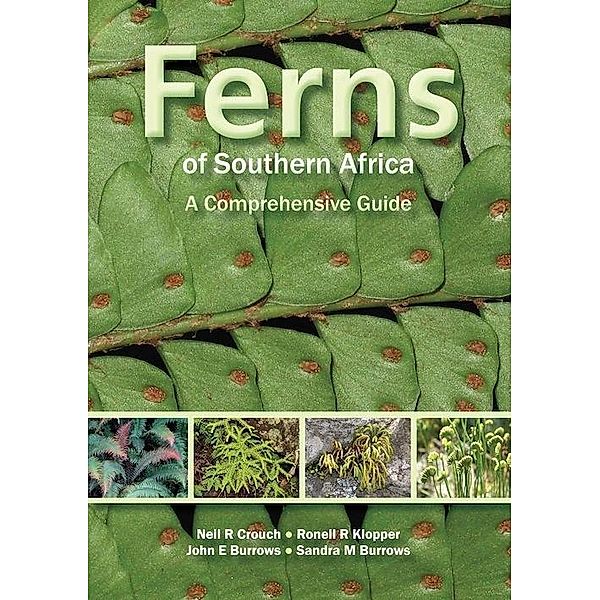 Ferns of Southern Africa: A Comprehensive Guide (PVC), Neil R Crouch