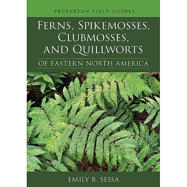Ferns, Spikemosses, Clubmosses, and Quillworts of Eastern North America / Princeton Field Guides Bd.150, Emily Sessa