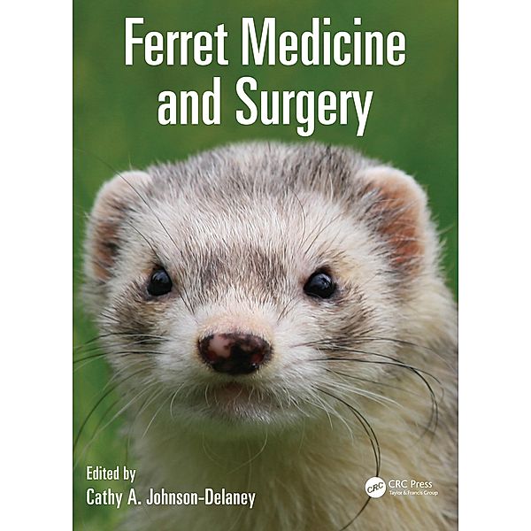 Ferret Medicine and Surgery