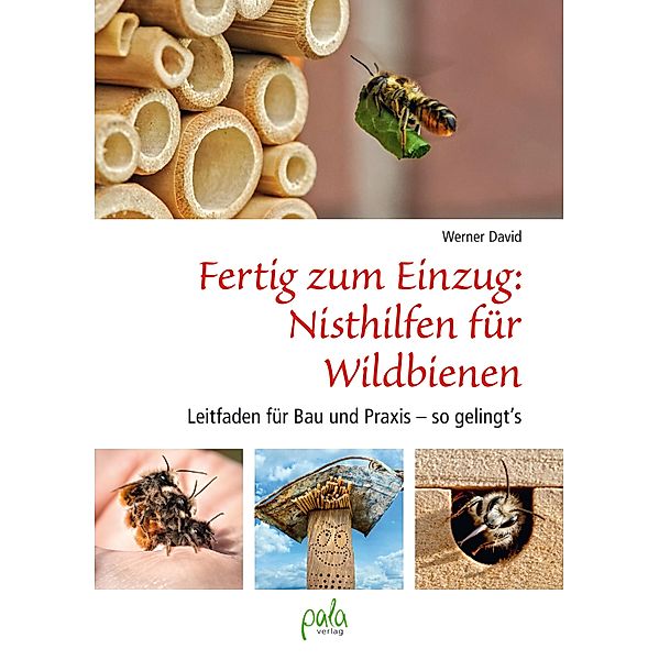 Fertig zum Einzug: Nisthilfen für Wildbienen, Werner David